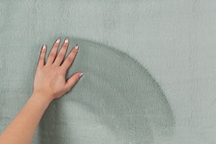 Merinos Karpet24 Modern Bont tapijt Lina Mint-120 x 170 cm Groen