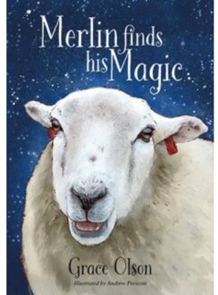 Merlin Finds His Magic - Grace Olson