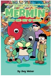 Mermin Book One