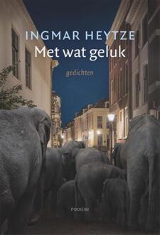 Met wat geluk -  Ingmar Heytze (ISBN: 9789463811576)