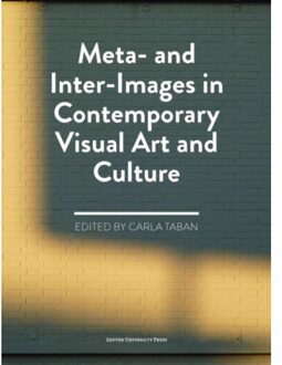 Meta- and inter-images in contemporary visual art and culture - Boek Universitaire Pers Leuven (9058679578)