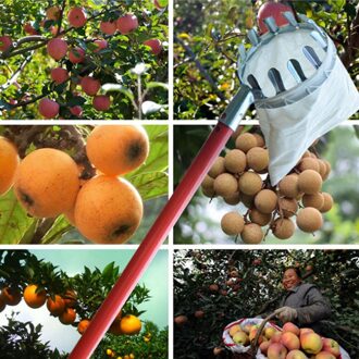 Metalen Fruit picker Handig Horticultural Fruit Picker Tuinieren Apple Perzik Picking Gereedschap