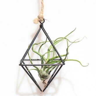 Metalen Pot Opknoping Plantenbakken Rack Geometrische Smeedijzeren Tillandsia Planten Houder Driehoekige Metalen Tuin Bloem Pot Rack # zwart