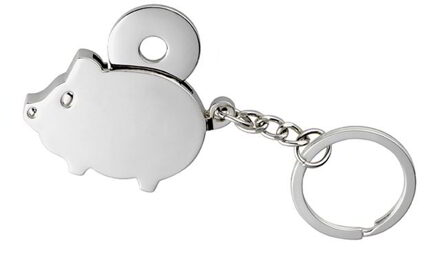 Metalen Sleutelhanger Varken