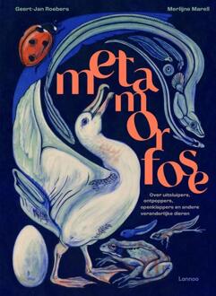 Metamorfose -  Geert-Jan Roebers (ISBN: 9789401441735)