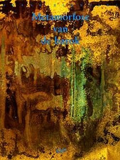 Metamorfose van de barok - Boek F. Reijnders (9071346129)