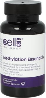 Methylation Essentials - 60Tb