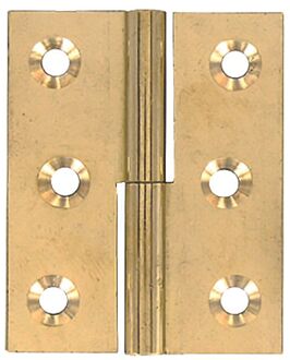 Meubelpaumel Voor Linkse Deur - Gepolijst Messing - 50x40 Mm - 2 Stuks