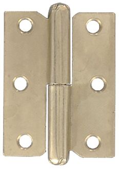 Meubelpaumelle Rechts - Vermessingd Staal - 50x40 Mm - 2 Stuks