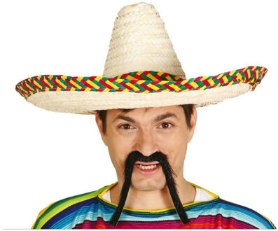 Mexicaanse Sombrero hoed voor heren - 2x - carnaval/verkleed accessoires - multi kleuren