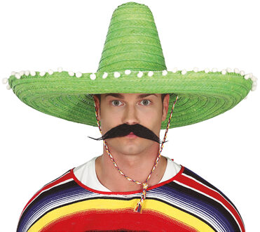 Mexicaanse Sombrero hoed voor heren - carnaval/verkleed accessoires - groen - met ornamenten