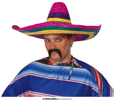 Mexicaanse Sombrero hoed voor heren - carnaval/verkleed accessoires - multi kleuren