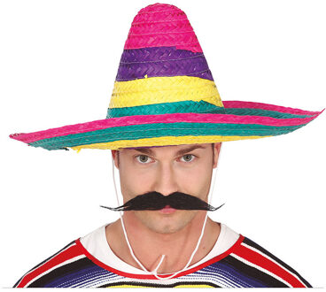 Mexicaanse Sombrero hoed voor heren - carnaval/verkleed accessoires - multi kleuren