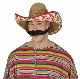 Mexicaanse Sombrero verkleed hoed - voor volwassenen - carnaval/verkleed accessoires - multi kleur
