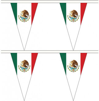 Mexico vlaggenlijn - 2x stuks - 5 meter - polyester - Mexicaanse vlag - landen versiering