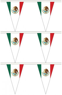 Mexico vlaggenlijn - 3x stuks - 5 meter - polyester - Mexicaanse vlag - landen versiering