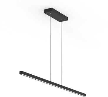 Mexlite Light Stripe - hanglamp - zwart