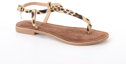 Mexx Mxcy0044 03w-2024 dames sandalen gekleed Bruin - 40