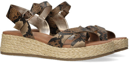 Mexx Talina sade - maat 38 Klaproos