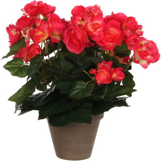 Mica Decoration Kunstplant - begonia - donkerroze - in pot - 30 cm - Kunstplanten