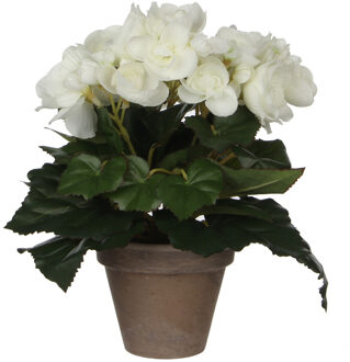 Mica Decoration Kunstplant - begonia - wit - in grijze pot - 25 cm - Kunstplanten