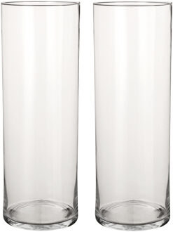 Mica Decorations 2x Glazen cilinder vaas/vazen 55 cm rond