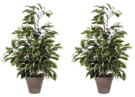Mica Decorations 2x Groen/witte tropische ficus kunstplanten 65 cm voor binnen