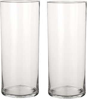 Mica Decorations 2x Ronde glazen cilinder vaas/vazen transparant 48 cm lang - Vazen