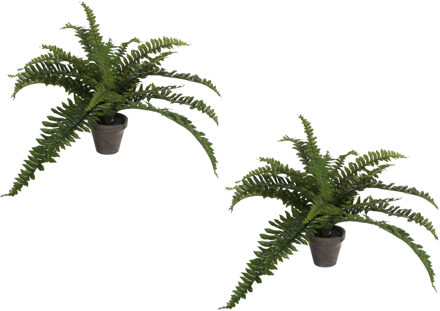 Mica Decorations 2x Stuks Boston Varen Kunstplanten Groen In Grijze Pot H35 Cm X D45 Cm - Kunstplanten/nepplanten