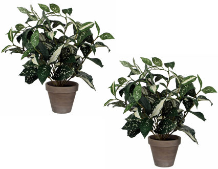 Mica Decorations 2x stuks cordyline kunstplanten/kamerplanten groen in grijze sierpot H33 cm x D25 cm - Kunstplanten