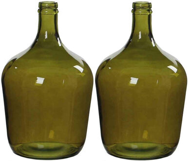 Mica Decorations 2x Stuks Fles Vazen Diego H30 X D18 Cm Groen Gerecycled Glas - Vazen