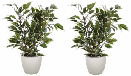 Mica Decorations 2x stuks groen/witte ficus kunstplant 40 cm met plantenpot taupe D13.5 en H12.5 cm