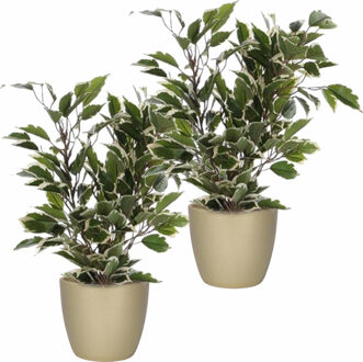 Mica Decorations 2x stuks groen/witte ficus kunstplanten 40 cm met plantenpot parelgoud D13.5 en H12.5 cm