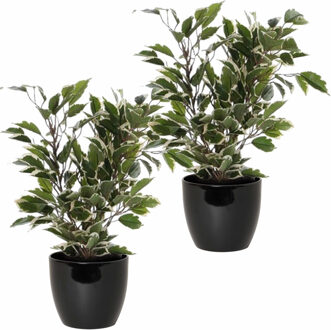Mica Decorations 2x stuks groen/witte ficus kunstplanten 40 cm met plantenpot zwart D13.5 en H12.5 cm
