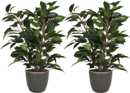 Mica Decorations 2x stuks groene ficus kunstplant 40 cm met plantenpot mat antraciet grijs D13.5 en H12.5 cm - Kunstplanten