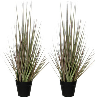 Mica Decorations 2x stuks mica Decorations - gras kunstplant - groen/paars - H53 x D30 cm - Kunstplanten