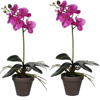 Mica Decorations 2x stuks phalaenopsis Orchidee kunstplanten paars in grijze pot H48 x D13 cm - Kunstplanten