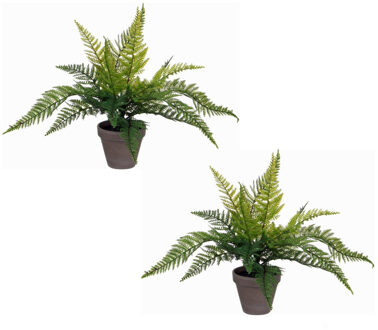 Mica Decorations 2x stuks varen kunstplanten/kamerplanten groen H40 cm x D36 cm - Kunstplanten