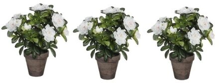 Mica Decorations 3x Groene Azalea kunstplant witte bloemen 27 cm in pot stan grey - Kunstplanten/nepplanten