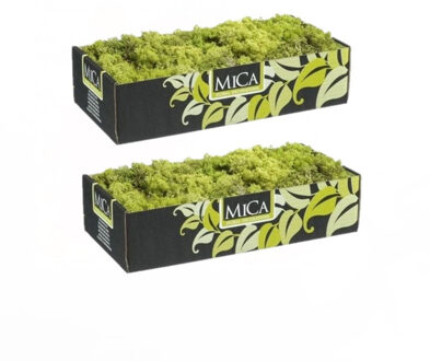 Mica Decorations 3x pakjes decoratie/hobby mos lichtgroen 500 gram