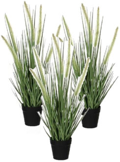 Mica Decorations 3x stuks groene Dogtail/siergras kunstplant 53 cm in zwarte pot - Kunstplanten/nepplanten