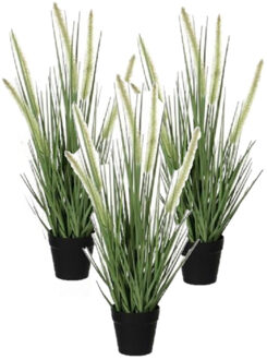 Mica Decorations 3x stuks groene Dogtail/siergras kunstplant 53 cm in zwarte pot