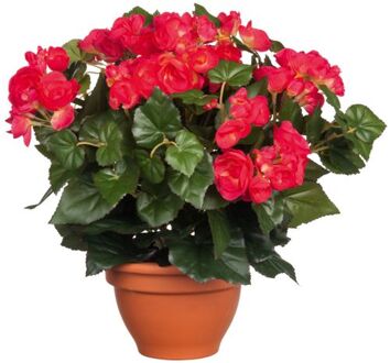 Mica Decorations begonia maat in cm: 37 x 35 donkerroze in pot