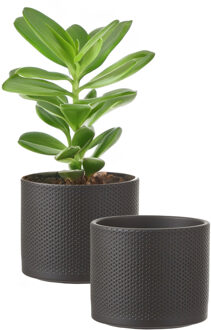 Mica Decorations Bloempot - 2x - donkergrijs - relief - keramiek - 13 x 15 cm - plantenpotten