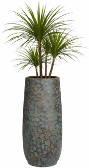 Mica Decorations Bloempot hoog Clemente - 55 x 21 cm - groen/koper - keramiek - vaas