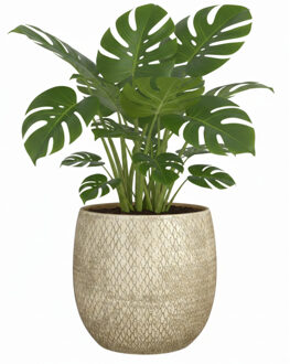 Mica Decorations Bloempot / plantenpot Madeira - creme - terracotta - 18 cm - schubbenpatroon