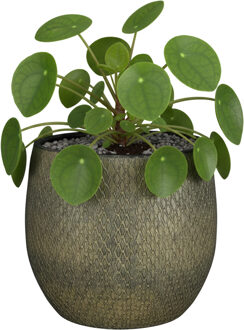 Mica Decorations Bloempot / plantenpot Madeira - groen - terracotta - 14 cm - schubbenpatroon