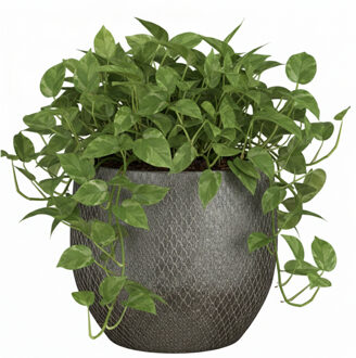 Mica Decorations Bloempot / plantenpot Madeira - zilver - terracotta - 28 cm - schubbenpatroon