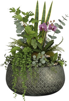 Mica Decorations Bloempot / plantenpot schaal Madeira - groen - terracotta - 27 cm - schubbenpatroon