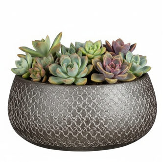 Mica Decorations Bloempot / schaal Madeira - zilver - 13 x 27 cm